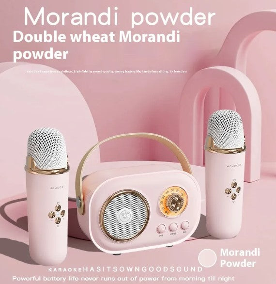 Portable Bluetooth Audio With Wireless Microphone